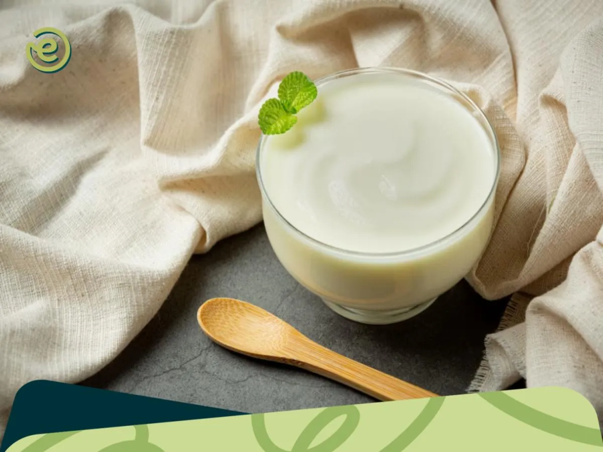 5 Merk Yogurt yang Aman Untuk Ibu Hamil, Lezat & Sehat! Evermos