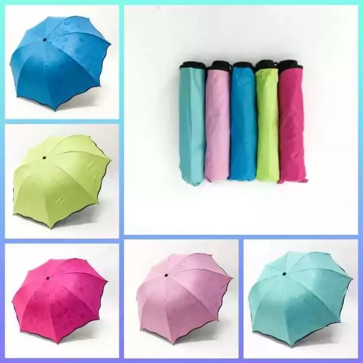 1d48d941 2111 4d2a 8a8f 9e8790690a47