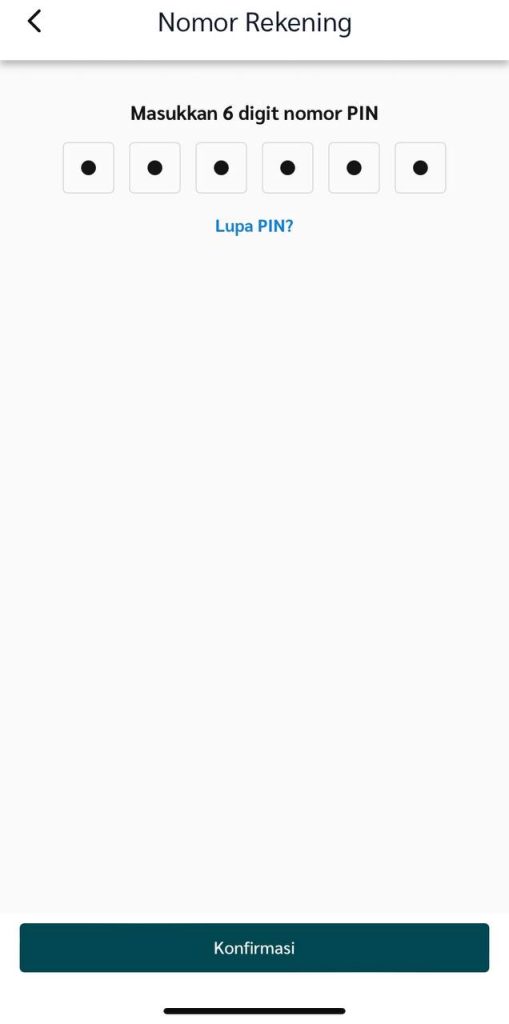 photo 6260032086983425216 y photo 6260032086983425216 y