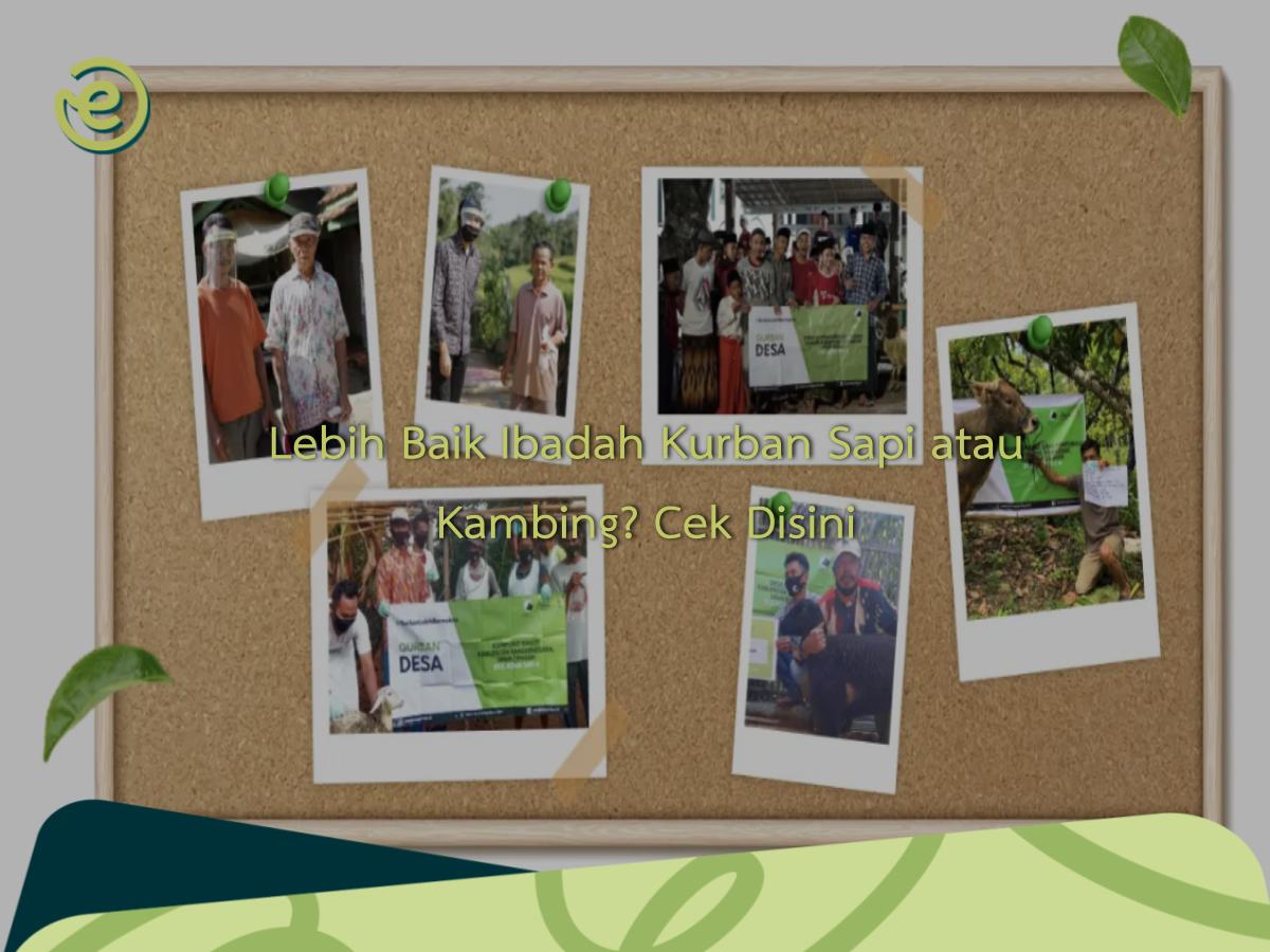 Featured Image Artikel Panduan 41