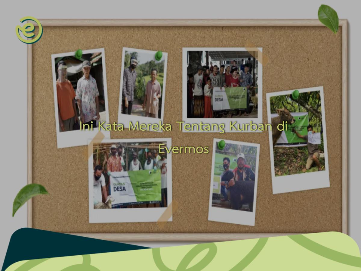 Featured Image Artikel Panduan 42