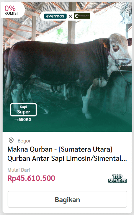 Kirim/Antar Sapi - Evermos 5 sapi 1 1