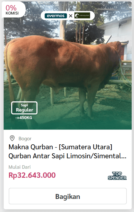 Kirim/Antar Sapi - Evermos 6 sapi 3 1