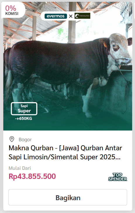 Kirim/Antar Sapi - Evermos 7 sapi 4 1