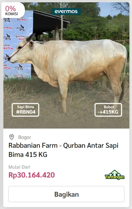 Kirim/Antar Sapi - Evermos 4 sapi 5