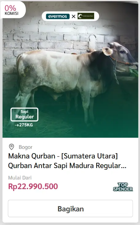 Kirim/Antar Sapi - Evermos 12 sapi madura 2