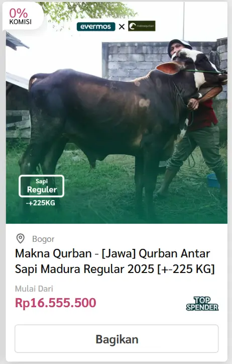 Kirim/Antar Sapi - Evermos 11 sapi madura 3