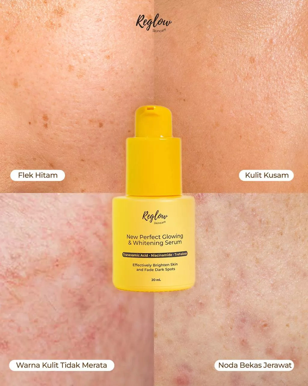 84a988cd 1d6b 4bff b220 1c8402b2fc87