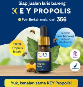 Cara Jadi Reseller KEY Propolis di Evermos & Potensi Bisnisnya di 2026 1 Reseller KEY Propolis Evermos