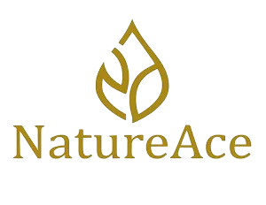 image 1232 removebg preview