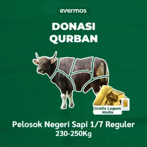 Qurban Evermos Jabodetabek-Jabar - Pelosok Negeri Sapi 1/7 Reguler 230-250 Kg all variant all variant