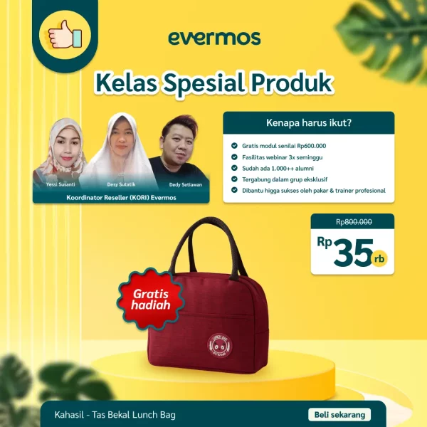 KAHASIL - Kelas Special Produk Free Tas Bekal Lunch Bag Tempat Penyimpanan Makanan Anak Sekolah KMJ111 Random