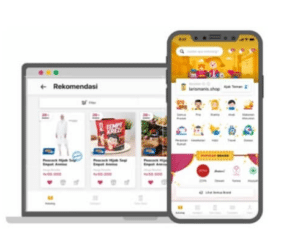 Aplikasi Reseller Evermos