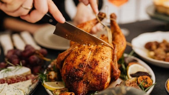 Simak Cara dan Keuntungan Menjadi Supplier Ayam Potong Berikut Ini