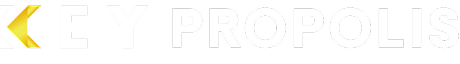Logo Key Propolis 2